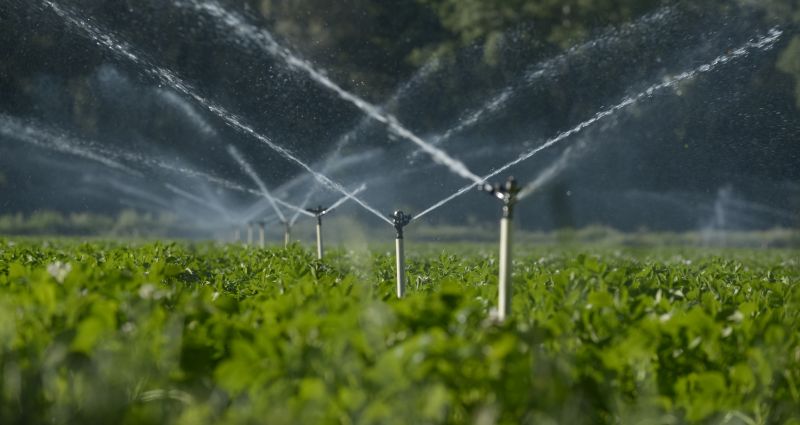 Mist Irrigation Installation in Honolulu, HI